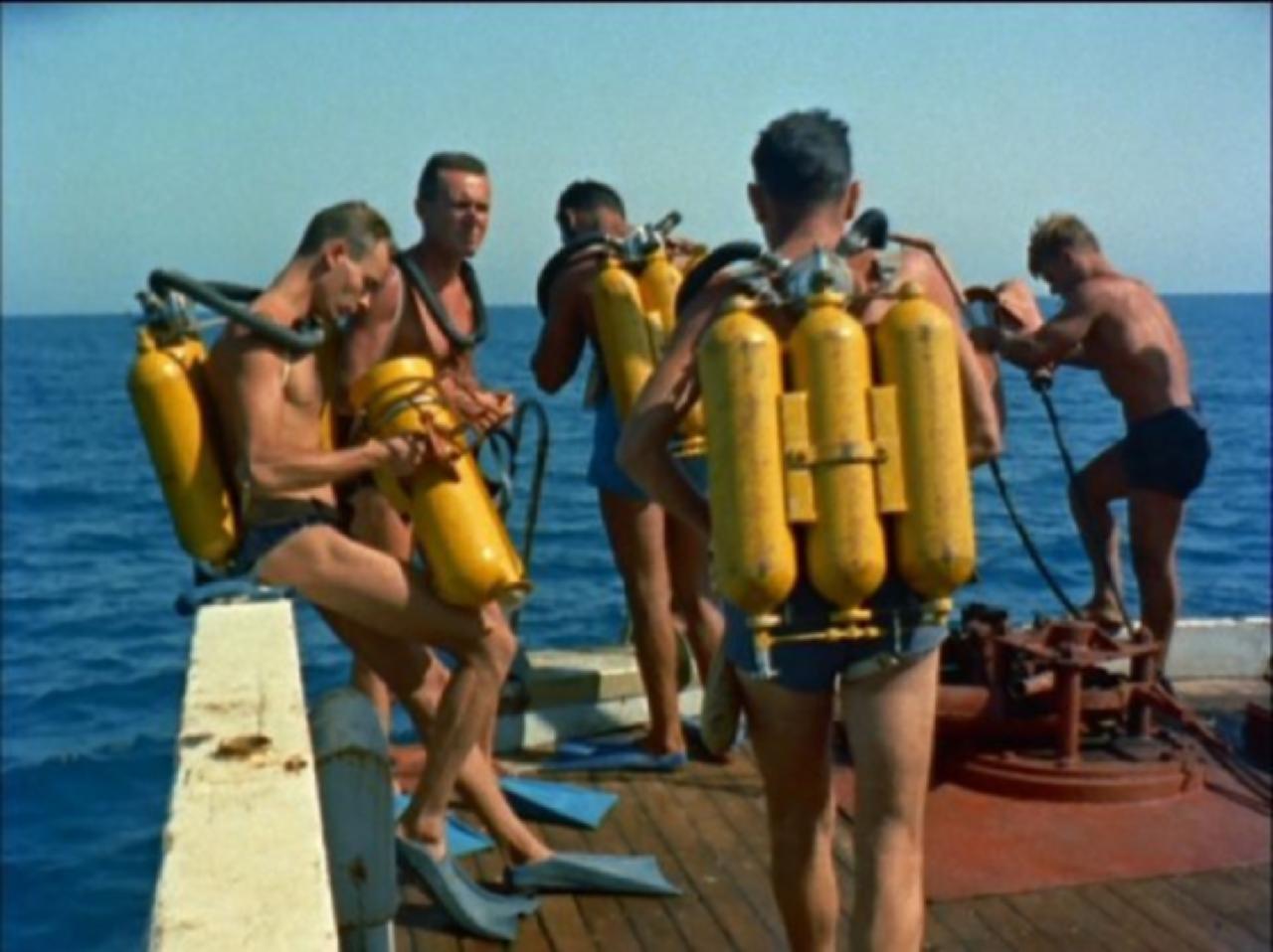 다이빙 장비 알아보기 - BCD (부력조절기)