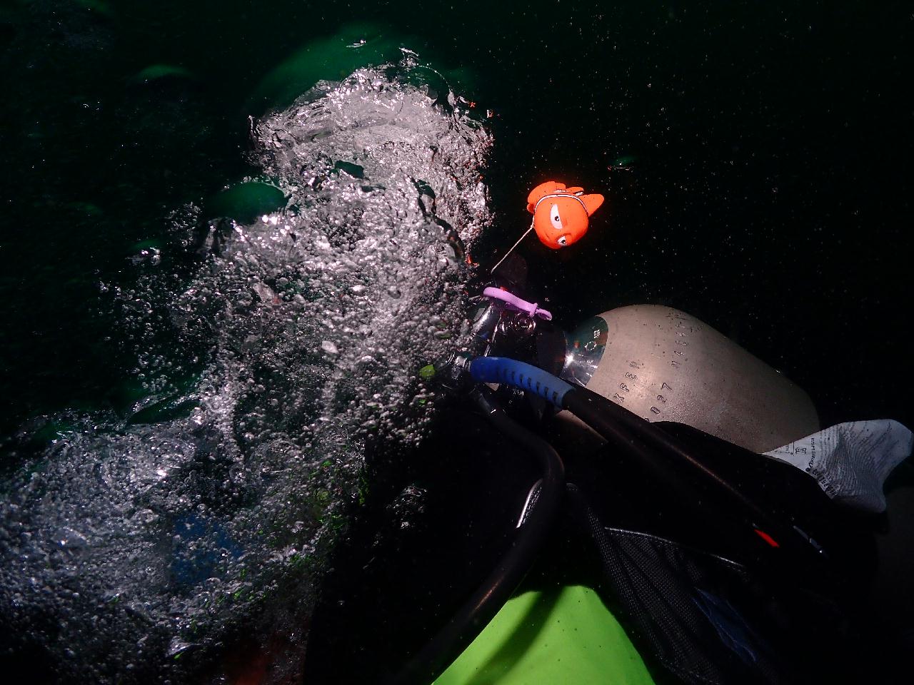 수면조류는 대박이었지만