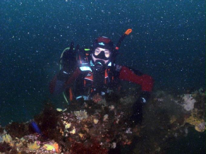 펀다이빙 - 강원도 강릉 경포다이브리조트 - 꽃동산