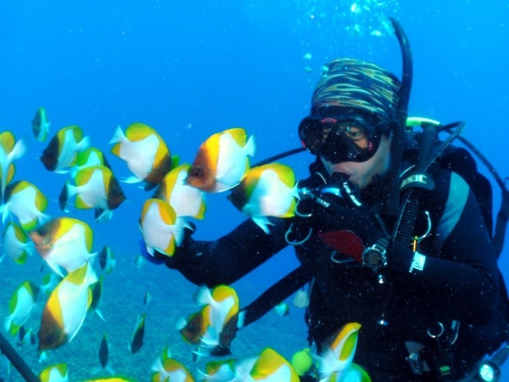 펀다이빙 - 사이판 다이브Y2K - 딤플(DIMPLE)