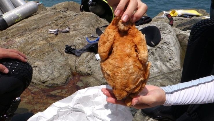 펀다이빙 - 경남 남해 하야루비 - 마안도