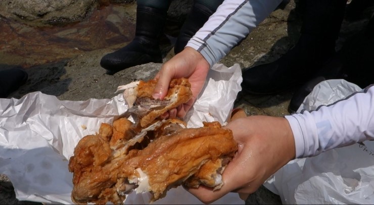 펀다이빙 - 경남 남해 하야루비 - 마안도