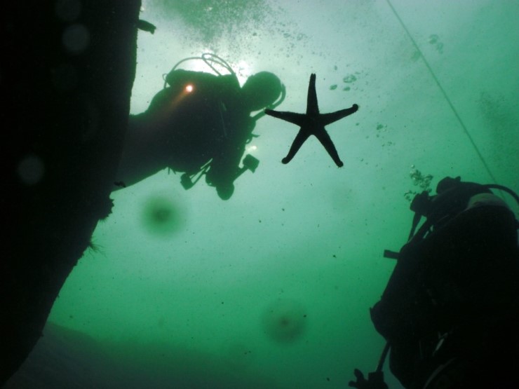 펀다이빙 - 강원도 양양 38마린리조트 - 아취