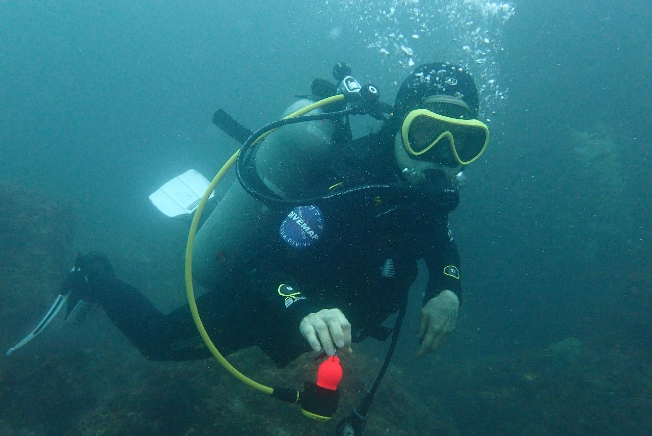 the best fun dive in Jeju island