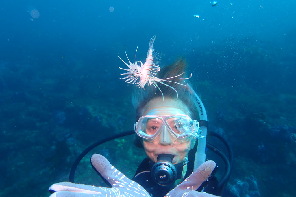 魔法使いと小さいカサゴ