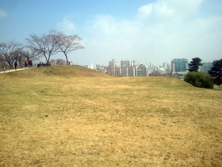 봄이 너무 빨리왔어... - 올림픽공원